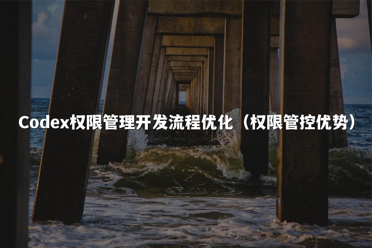 Codex权限管理开发流程优化（权限管控优势）