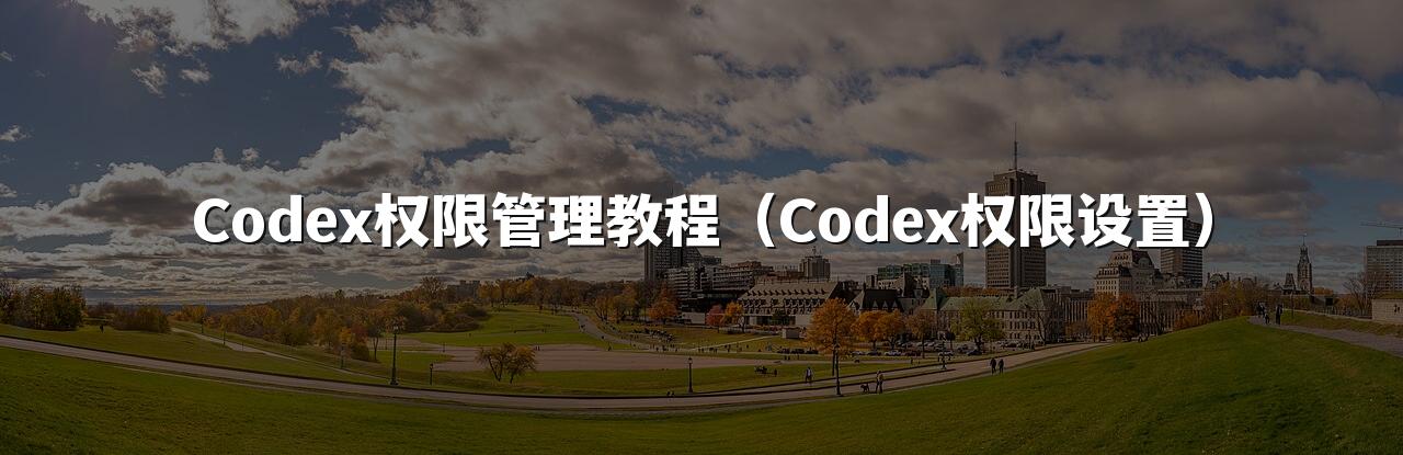 Codex权限管理教程(Codex权限设置)