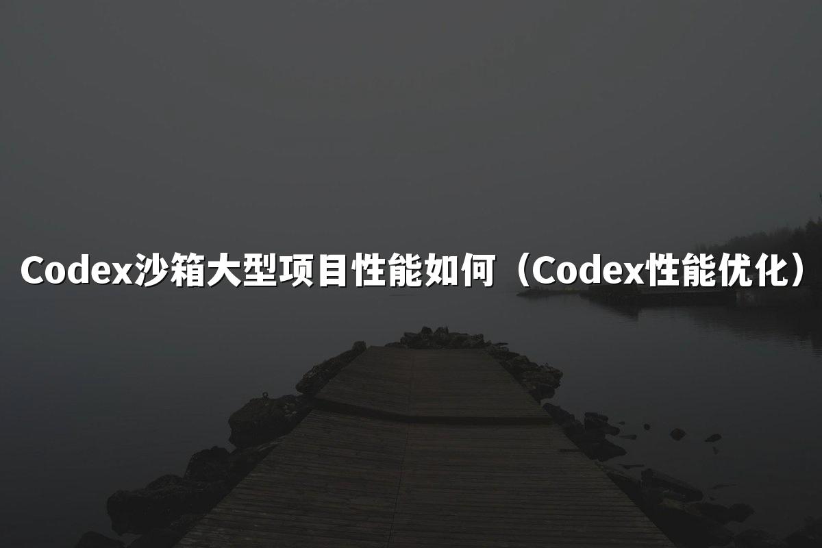 Codex沙箱大型项目性能如何(Codex性能优化)