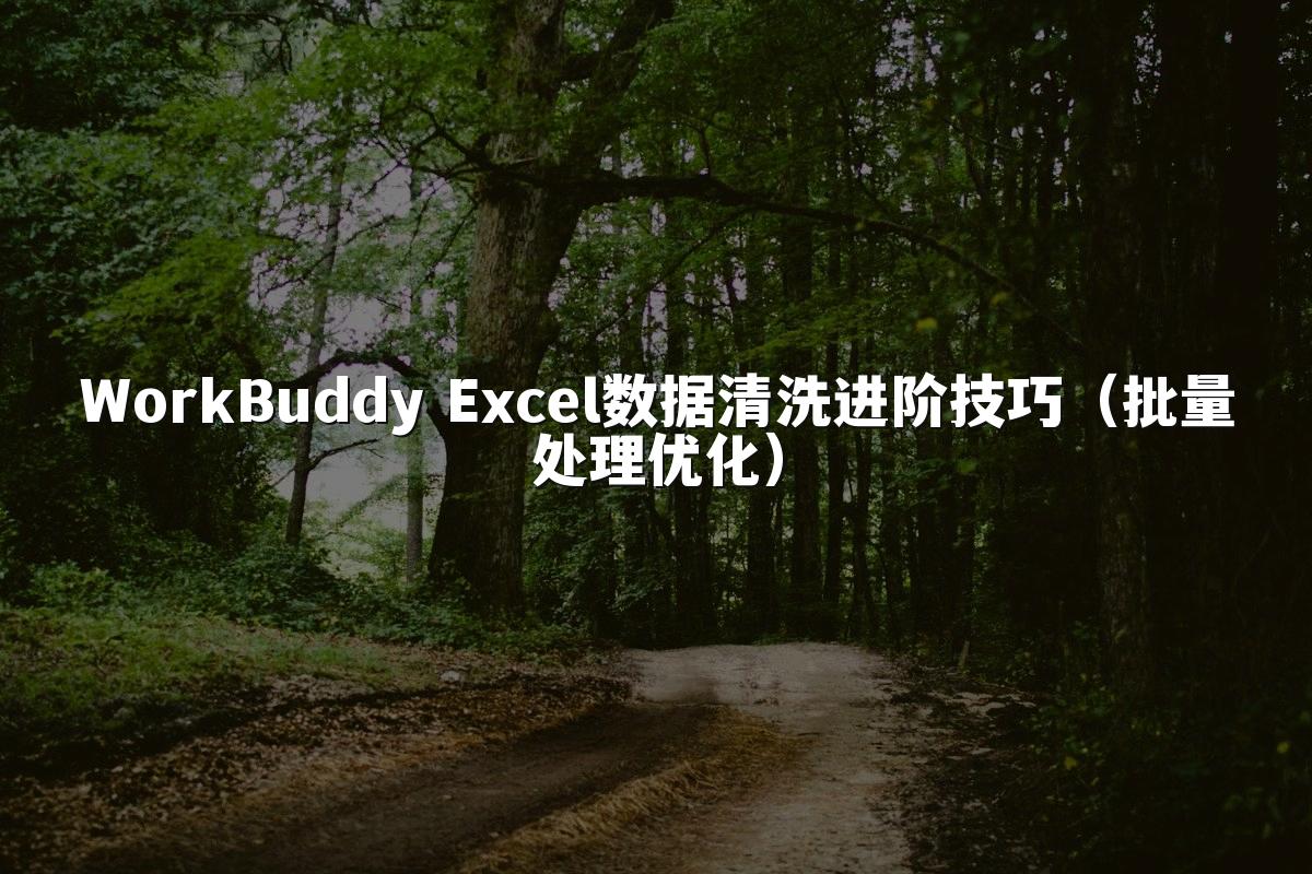 WorkBuddy Excel数据清洗进阶技巧(批量处理优化)