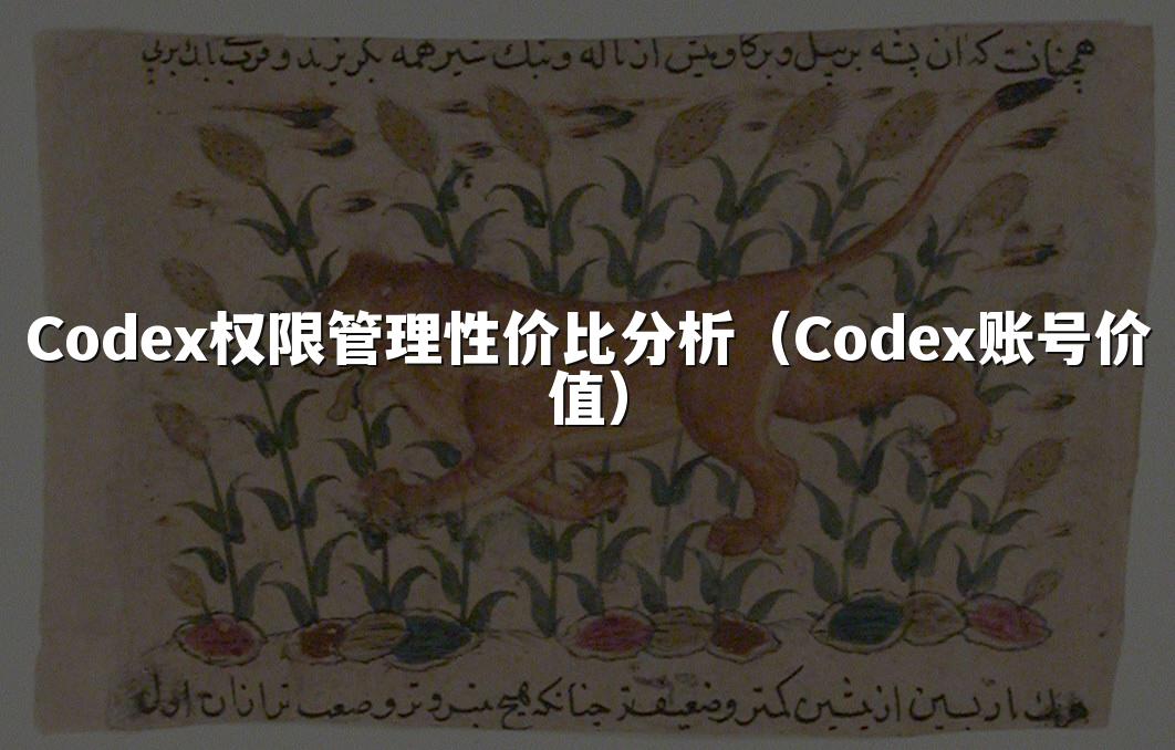 Codex权限管理性价比分析（Codex账号价值）