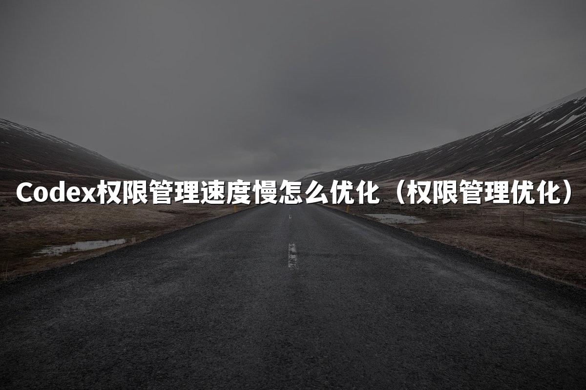 Codex权限管理速度慢怎么优化（权限管理优化）