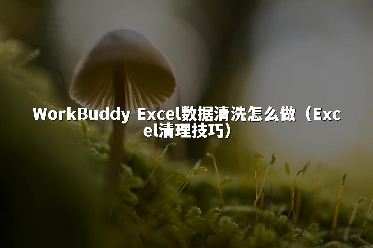 WorkBuddy Excel数据清洗怎么做（Excel清理技巧）