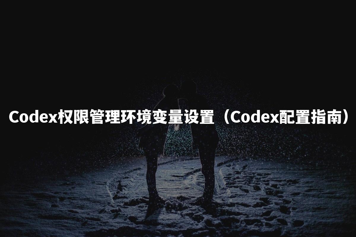 Codex权限管理环境变量设置(Codex配置指南)