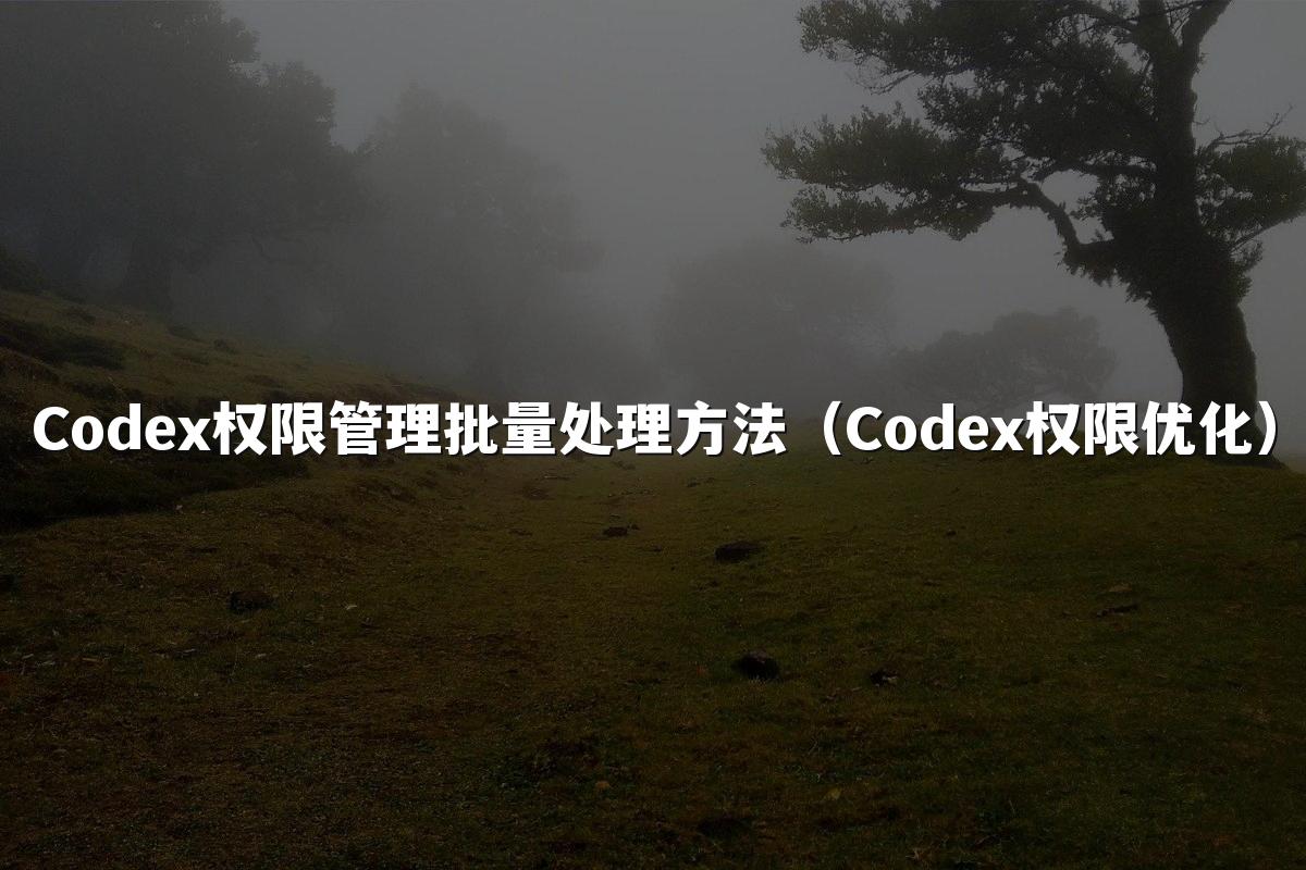 Codex权限管理批量处理方法（Codex权限优化）