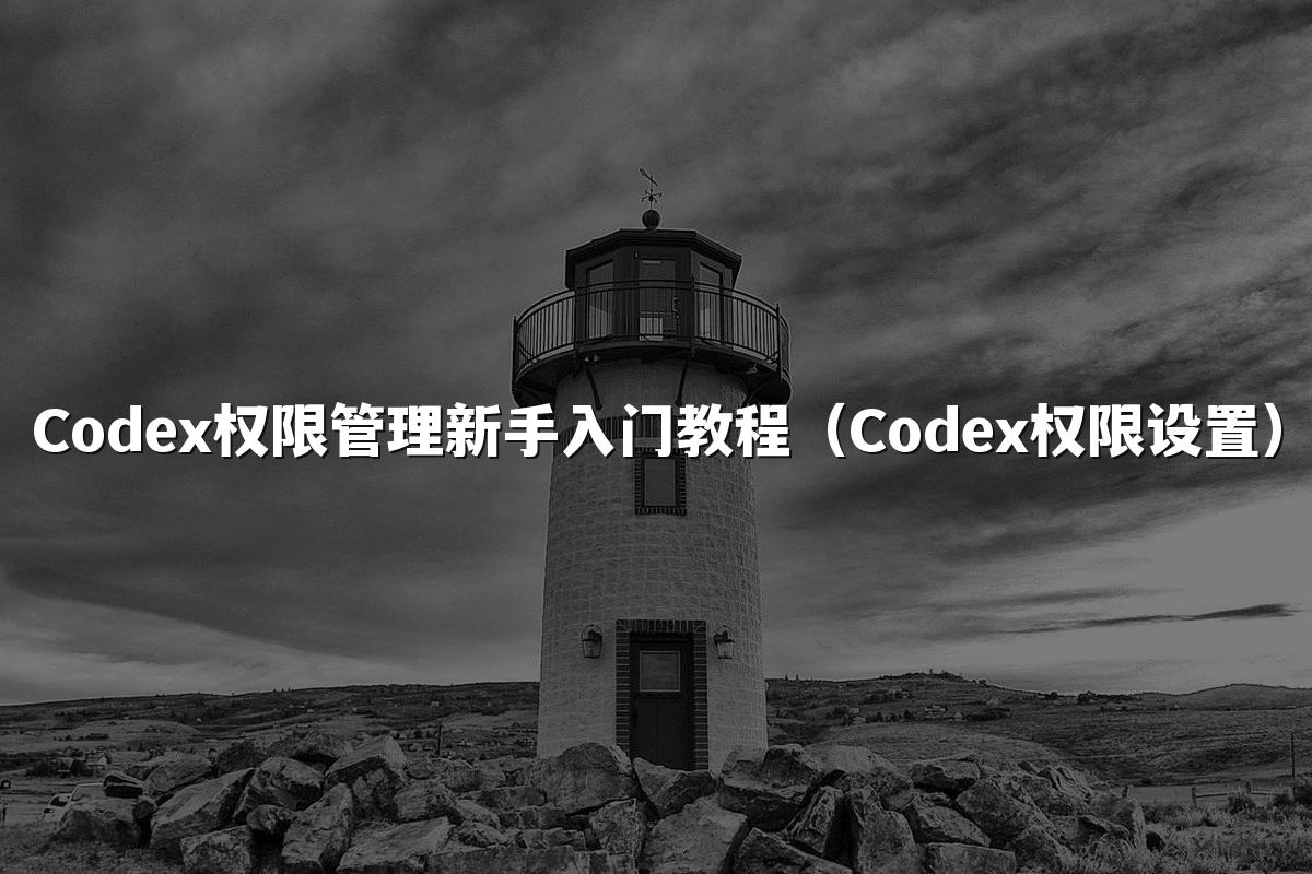 Codex权限管理新手入门教程（Codex权限设置）