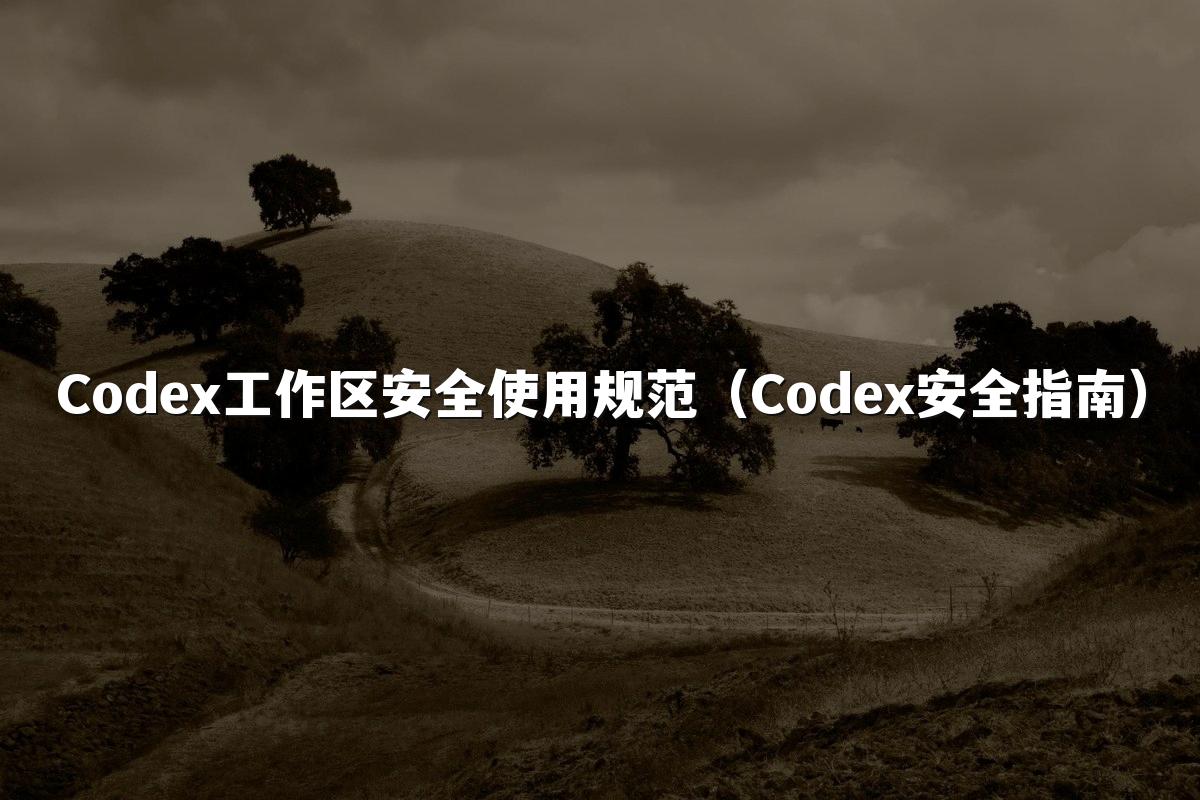 Codex工作区安全使用规范(Codex安全指南)