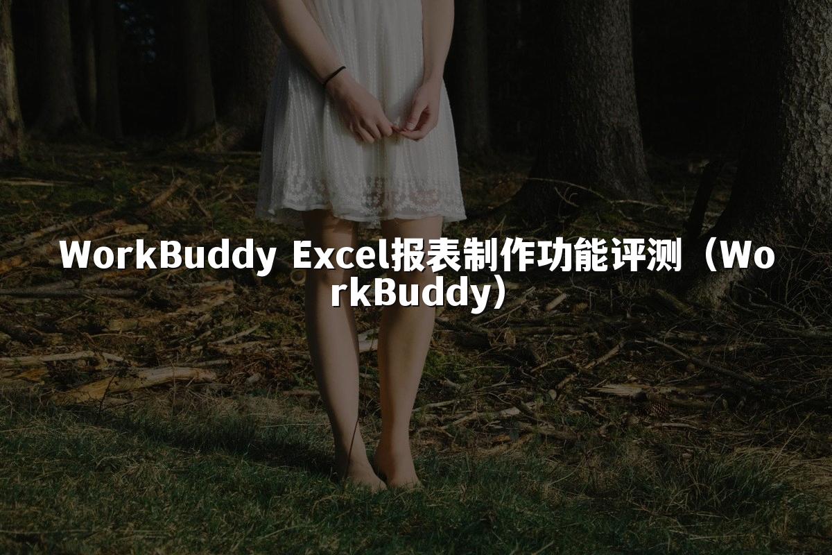 WorkBuddy Excel报表制作功能评测(WorkBuddy)
