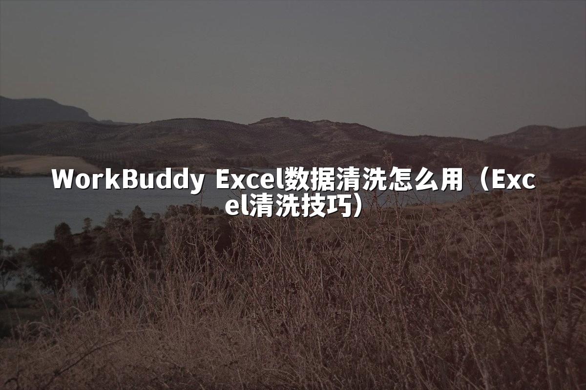 WorkBuddy Excel数据清洗怎么用（Excel清洗技巧）