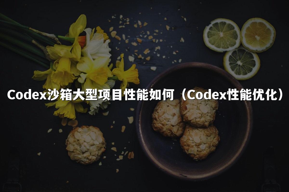Codex沙箱大型项目性能如何(Codex性能优化)