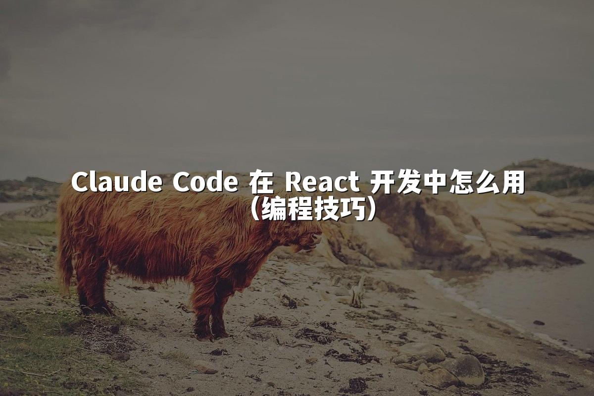 Claude Code 在 React 开发中怎么用(编程技巧)