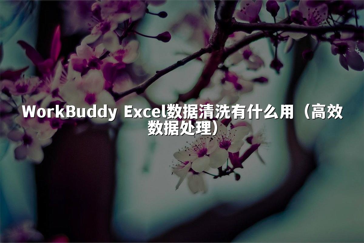 WorkBuddy Excel数据清洗有什么用（高效数据处理）