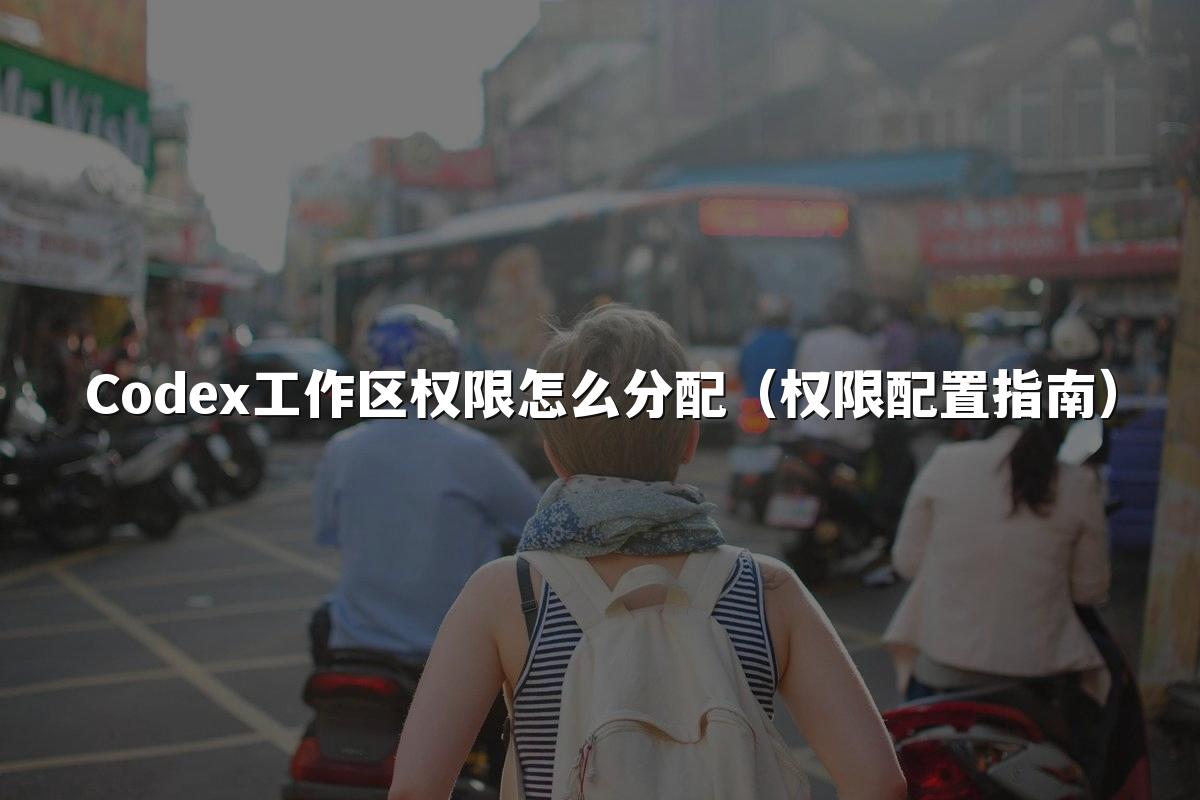 Codex工作区权限怎么分配（权限配置指南）