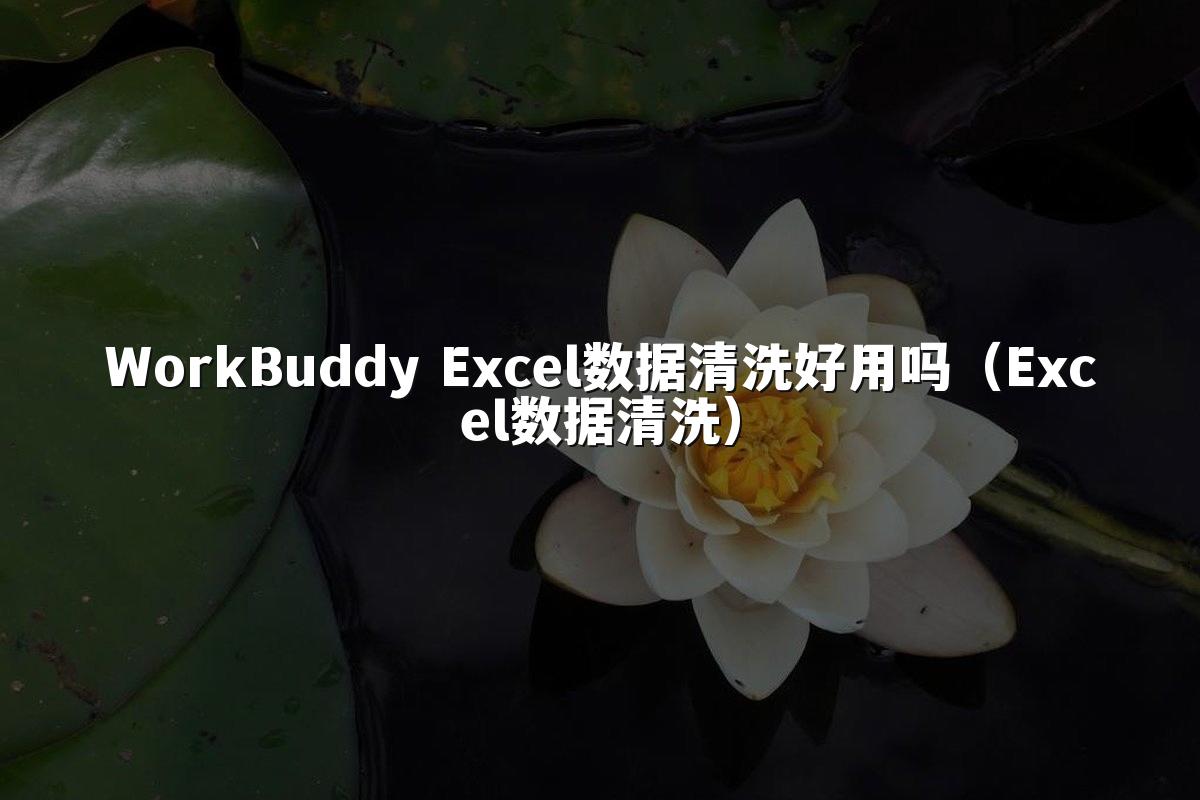 WorkBuddy Excel数据清洗好用吗（Excel数据清洗）