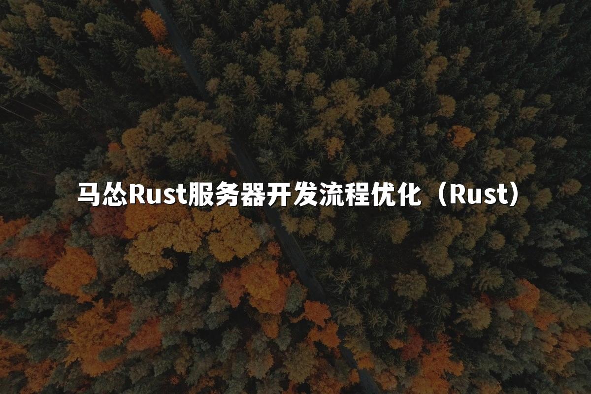 马怂Rust服务器开发流程优化(Rust)