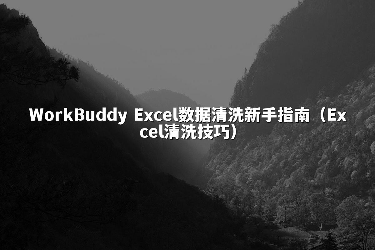 WorkBuddy Excel数据清洗新手指南(Excel清洗技巧)