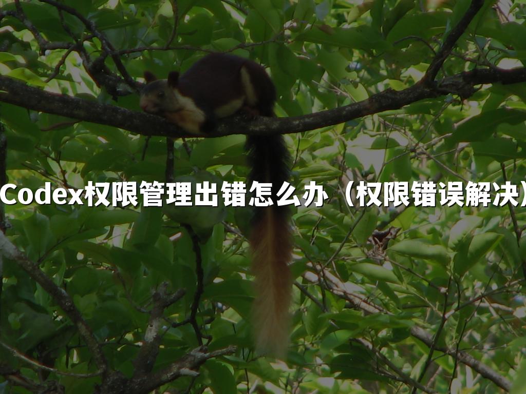 Codex权限管理出错怎么办（权限错误解决）