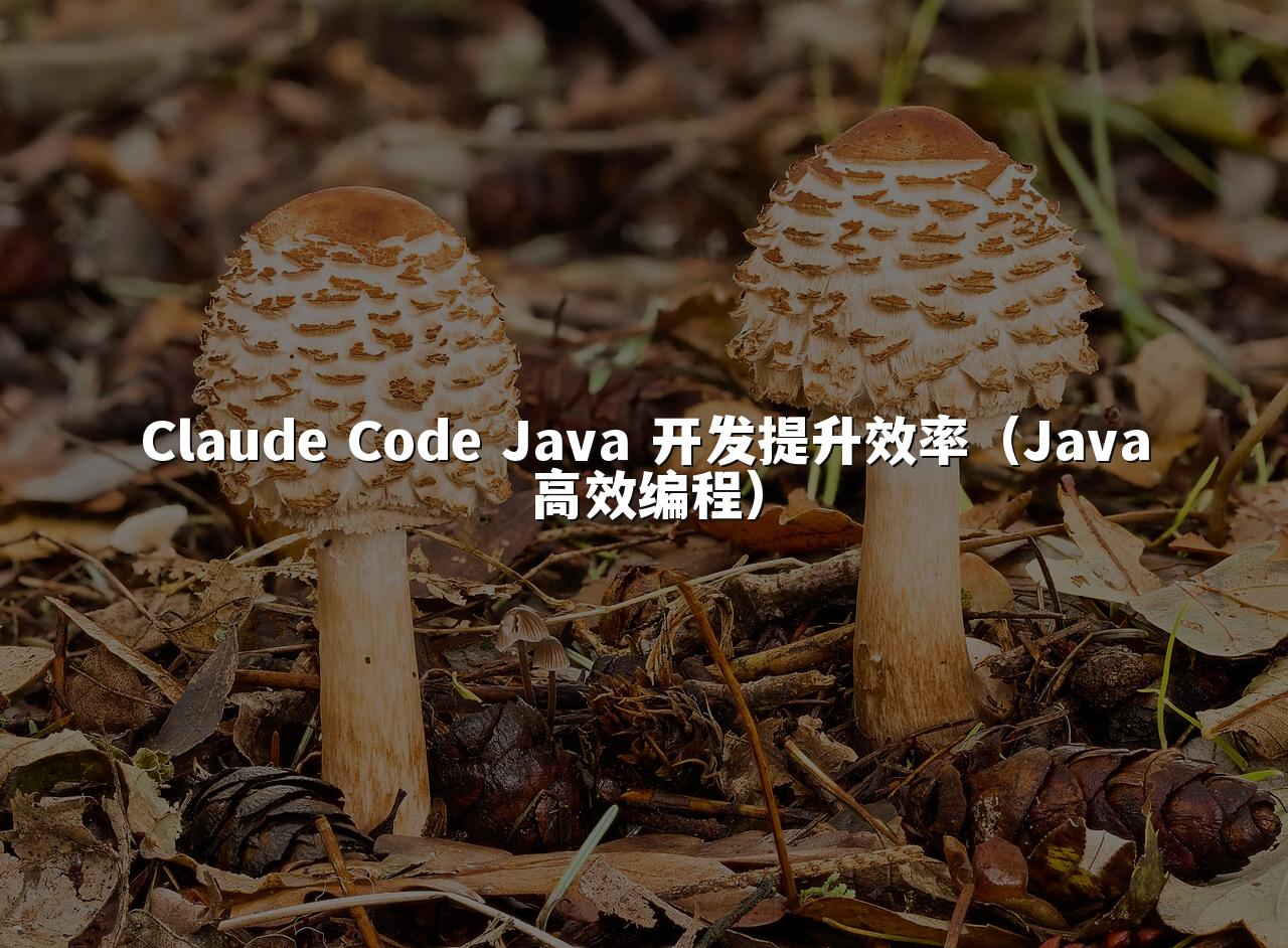 Claude Code Java 开发提升效率(Java高效编程)