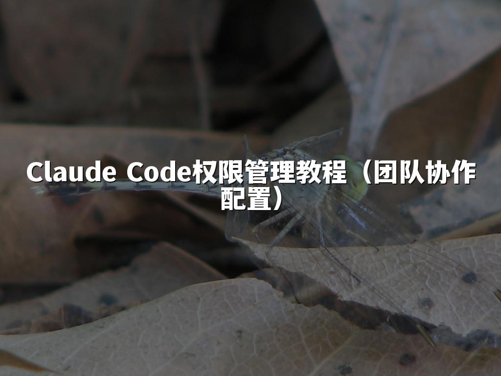 Claude Code权限管理教程(团队协作配置)