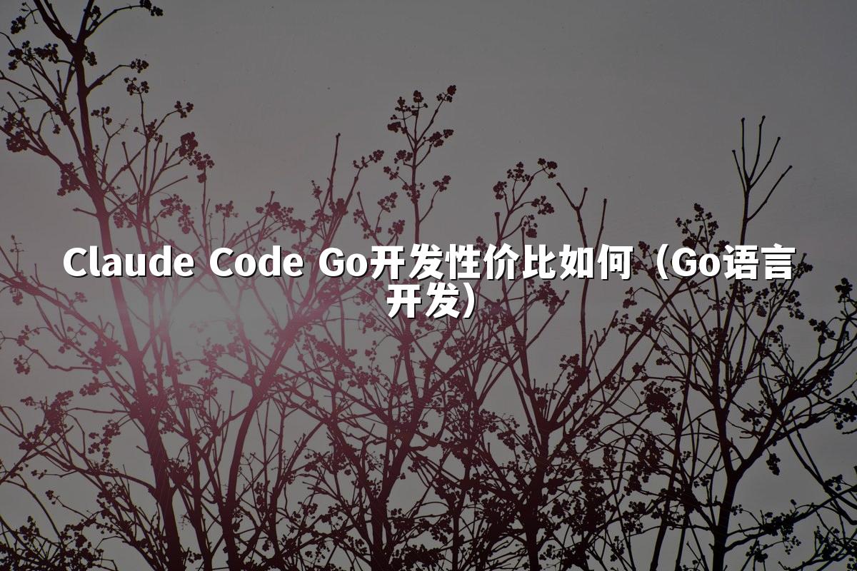 Claude Code Go开发性价比如何(Go语言开发)
