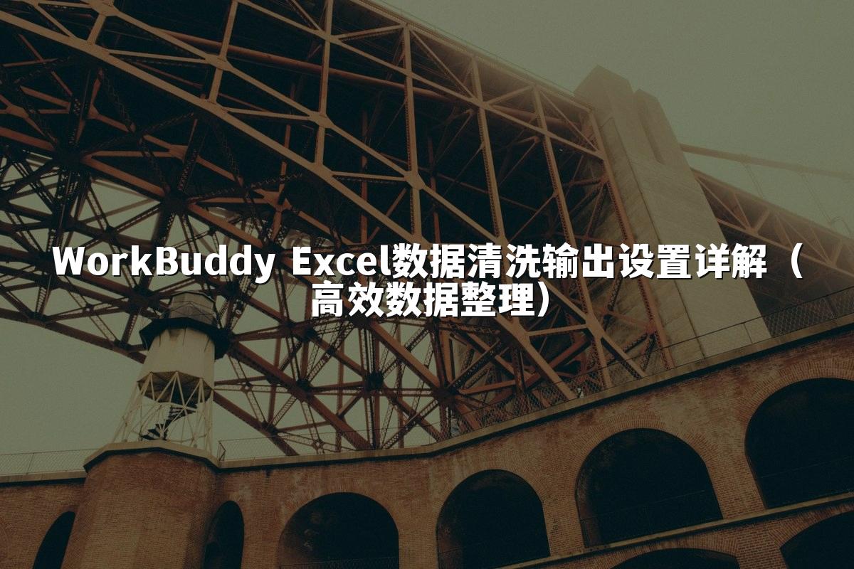 WorkBuddy Excel数据清洗输出设置详解（高效数据整理）