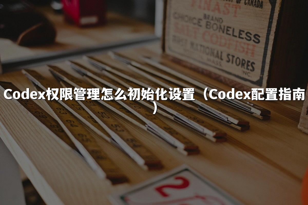 Codex权限管理怎么初始化设置（Codex配置指南）