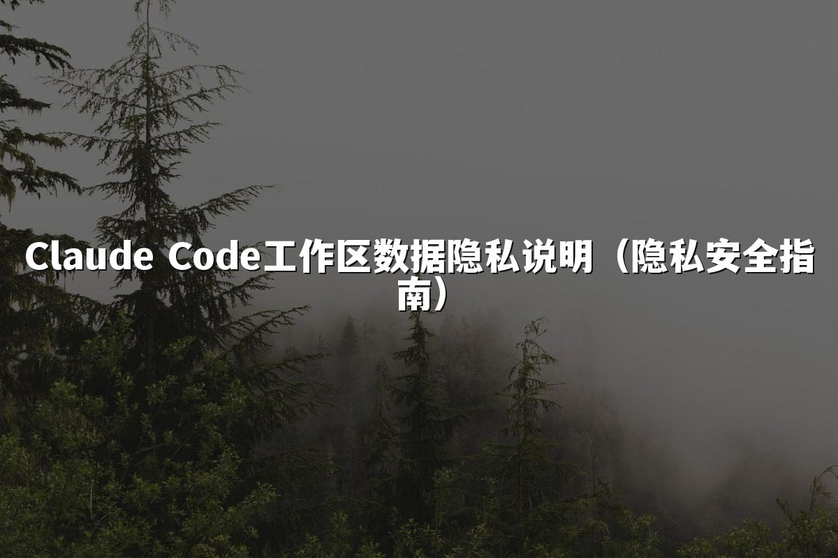 Claude Code工作区数据隐私说明（隐私安全指南）