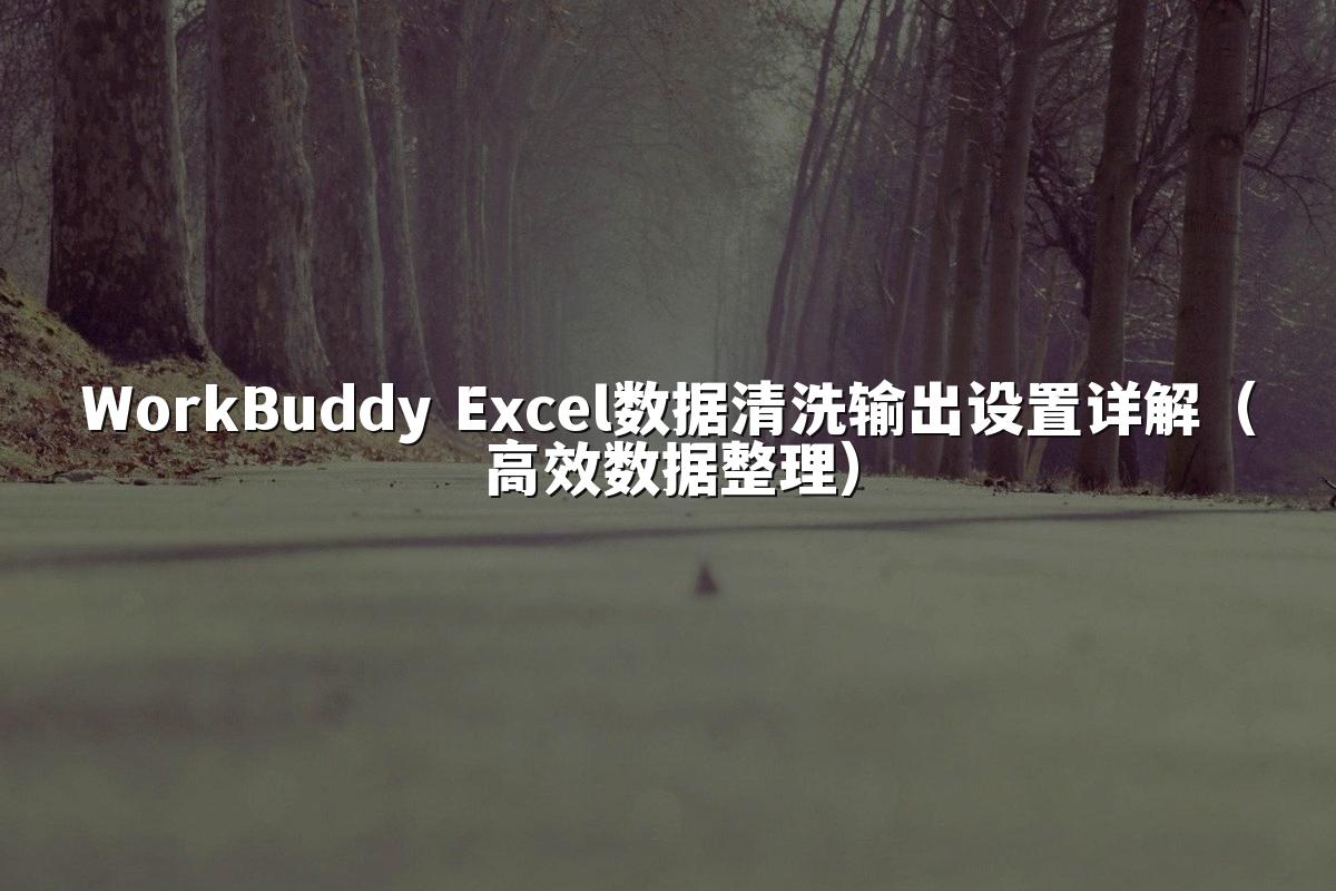WorkBuddy Excel数据清洗输出设置详解（高效数据整理）