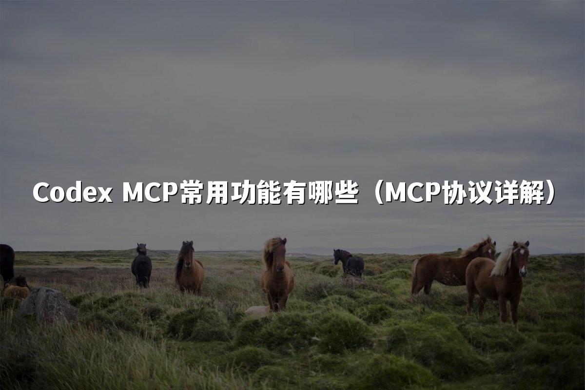 Codex MCP常用功能有哪些（MCP协议详解）