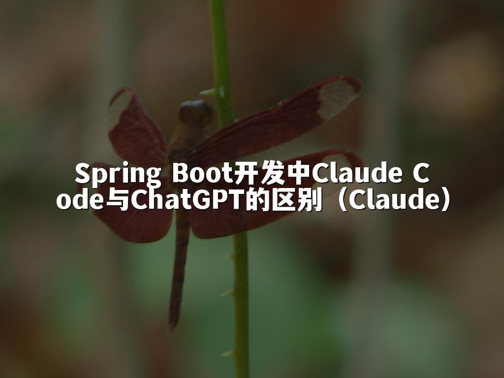Spring Boot开发中Claude Code与ChatGPT的区别(Claude)