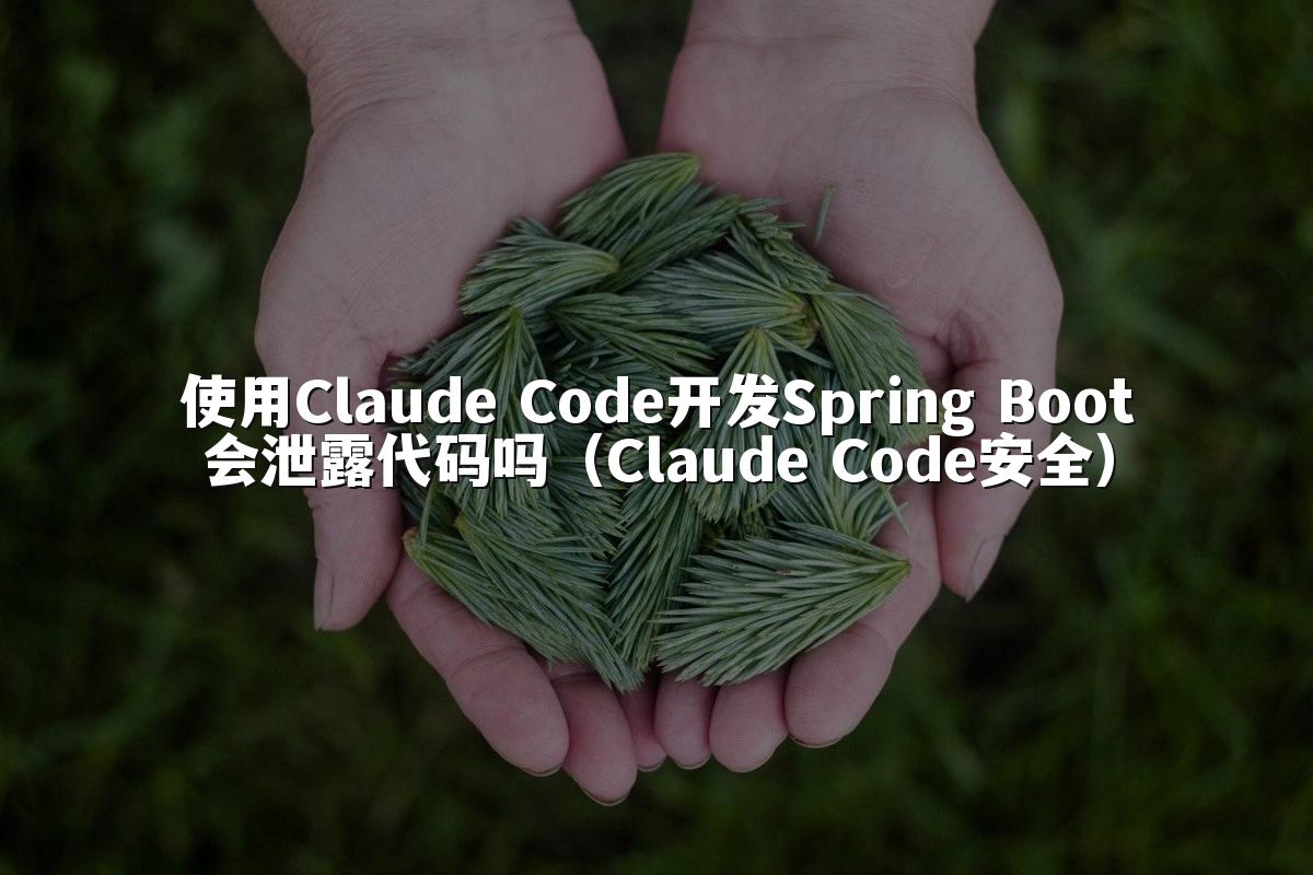 使用Claude Code开发Spring Boot会泄露代码吗(Claude Code安全)