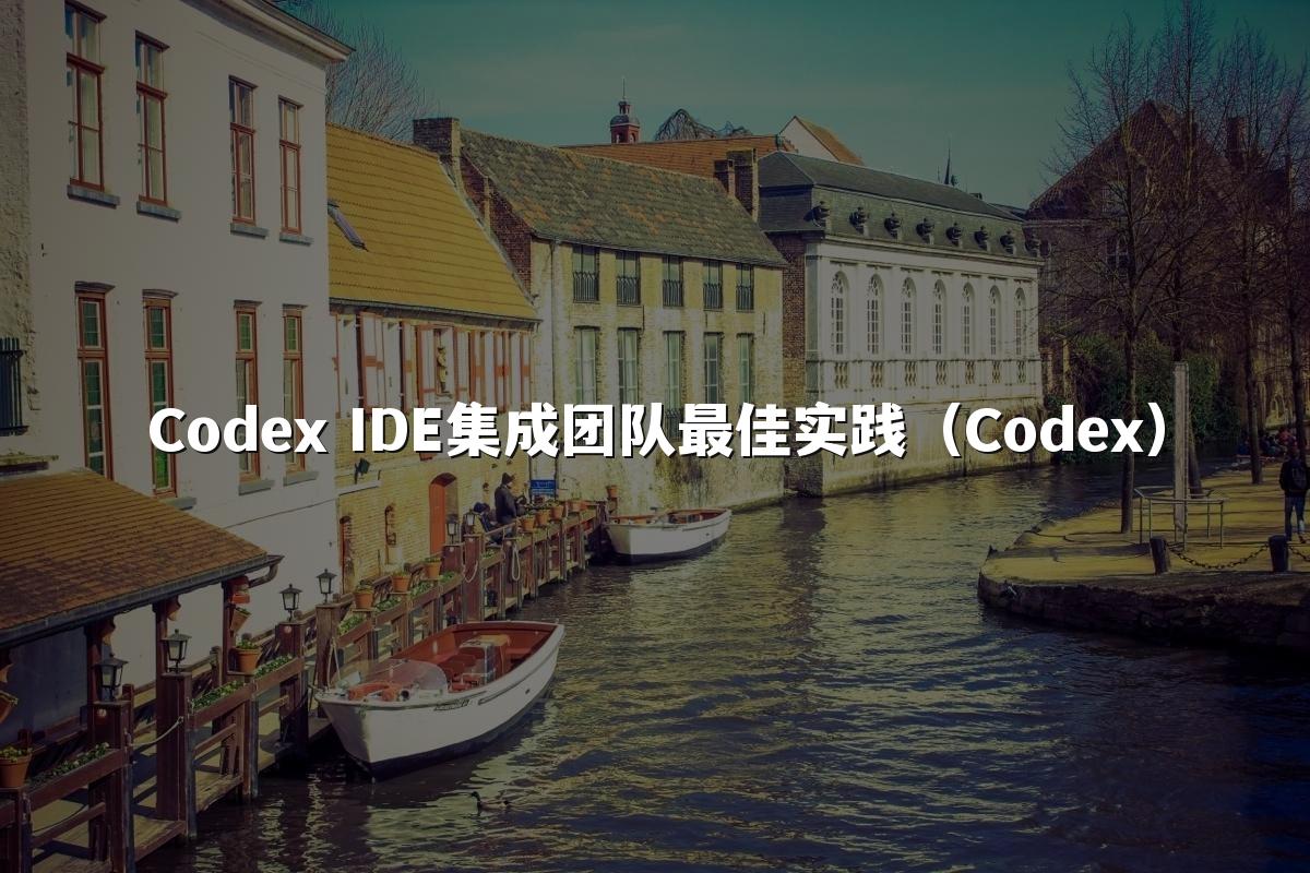 Codex IDE集成团队最佳实践（Codex）