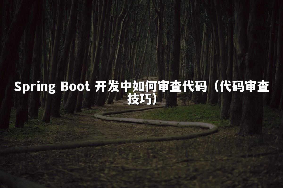 Spring Boot 开发中如何审查代码(代码审查技巧)