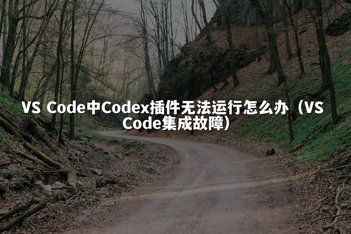 VS Code中Codex插件无法运行怎么办（VS Code集成故障）