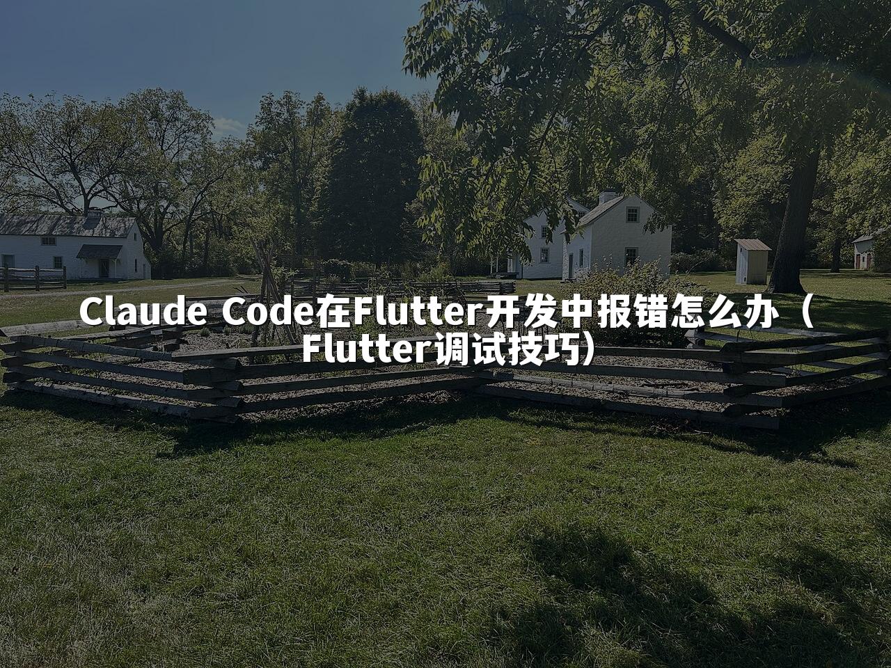 Claude Code在Flutter开发中报错怎么办（Flutter调试技巧）