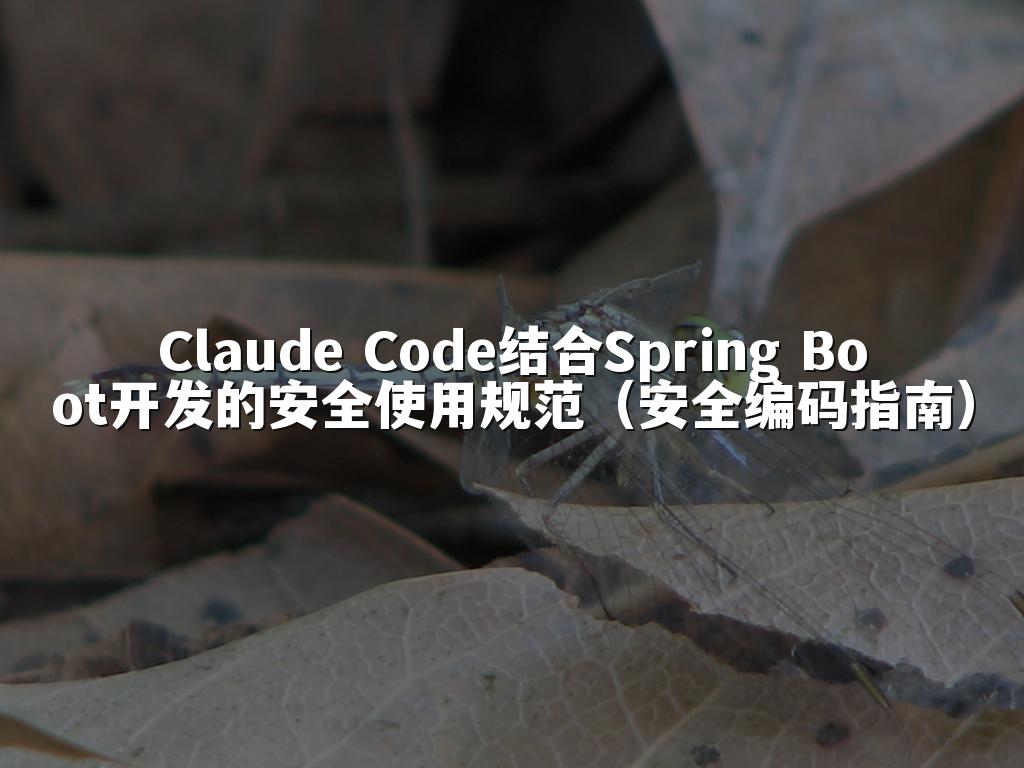 Claude Code结合Spring Boot开发的安全使用规范(安全编码指南)