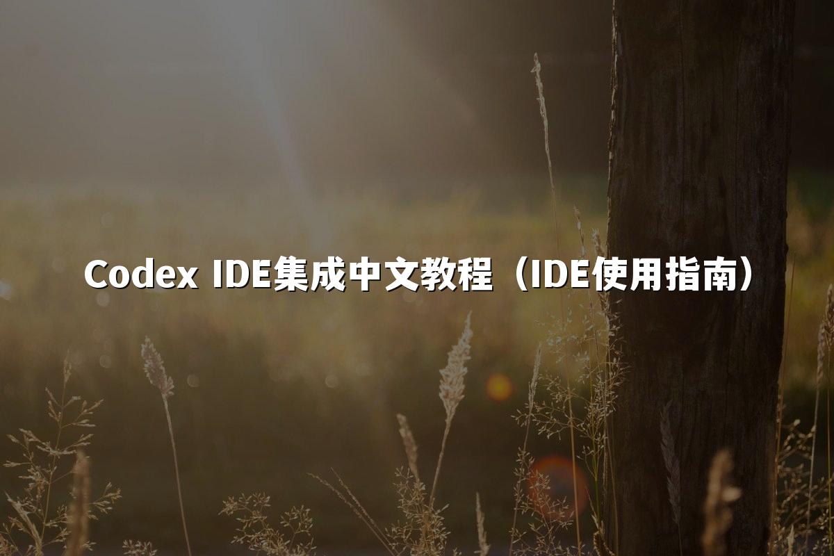 Codex IDE集成中文教程(IDE使用指南)