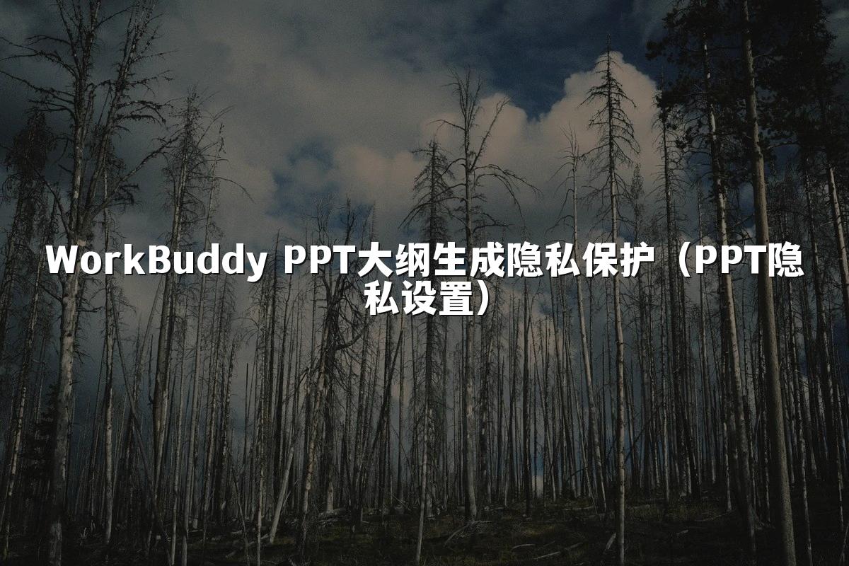 WorkBuddy PPT大纲生成隐私保护（PPT隐私设置）