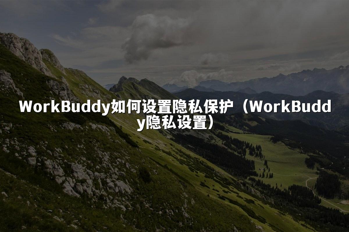 WorkBuddy如何设置隐私保护(WorkBuddy隐私设置)