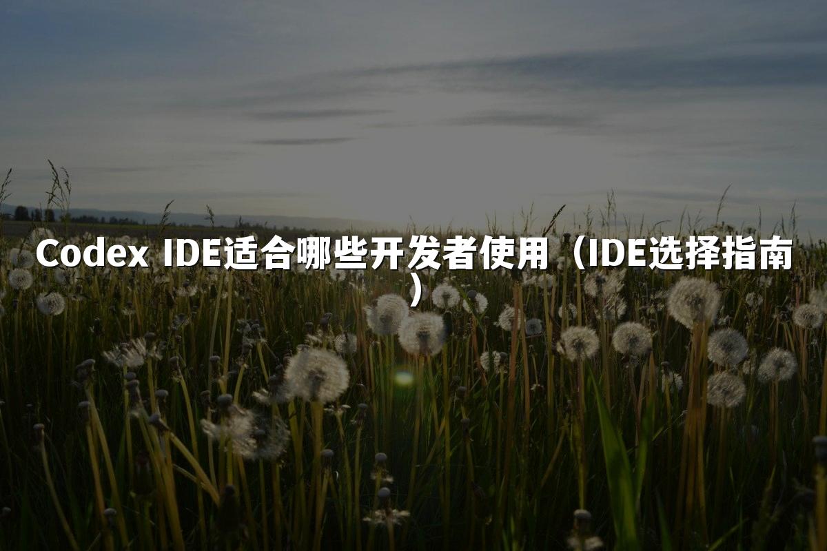 Codex IDE适合哪些开发者使用（IDE选择指南）