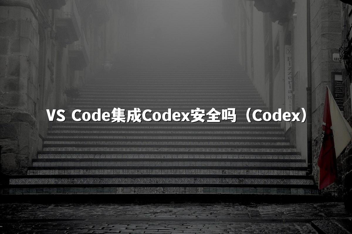 VS Code集成Codex安全吗（Codex）