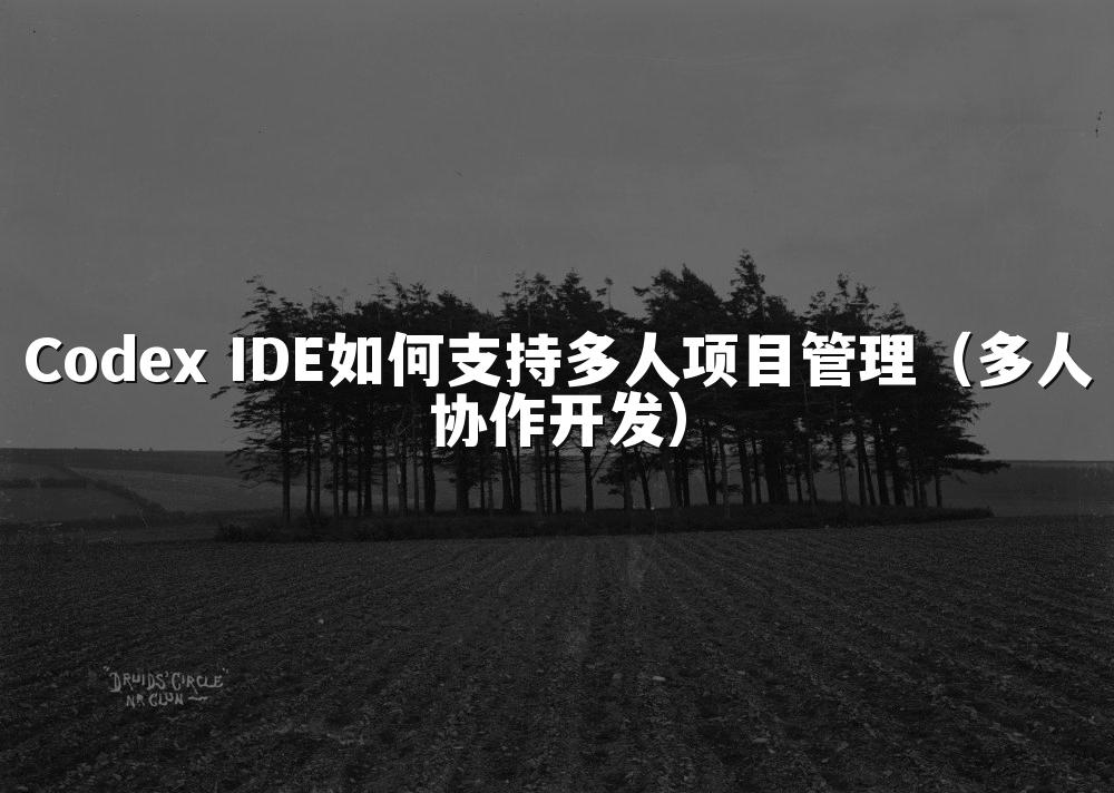 Codex IDE如何支持多人项目管理（多人协作开发）