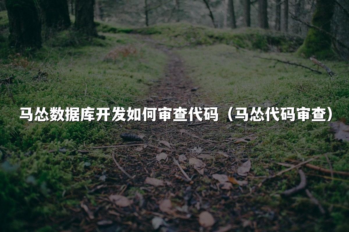 马怂数据库开发如何审查代码(马怂代码审查)