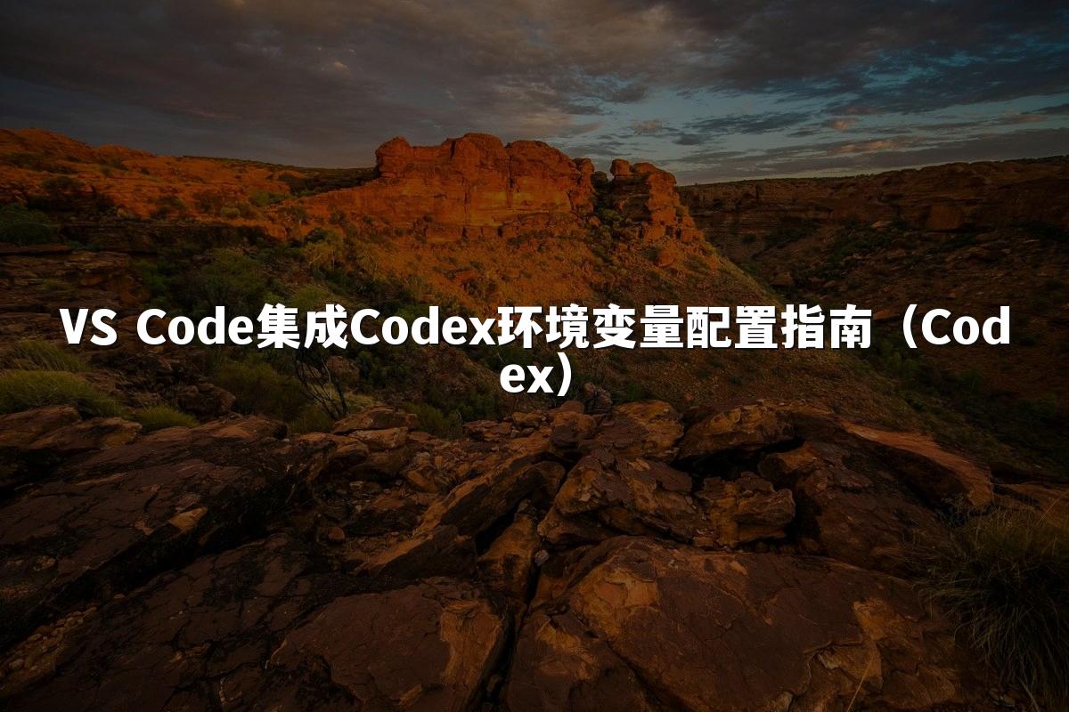 VS Code集成Codex环境变量配置指南（Codex）