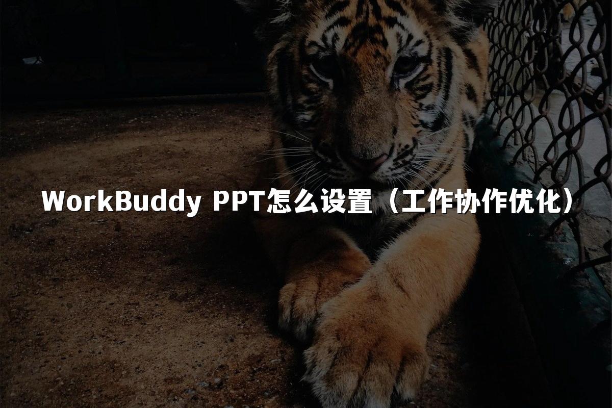 WorkBuddy PPT怎么设置(工作协作优化)