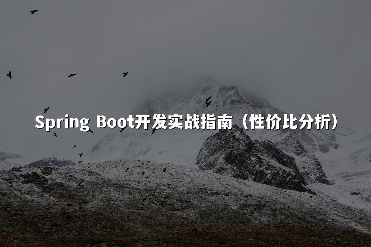 Spring Boot开发实战指南（性价比分析）