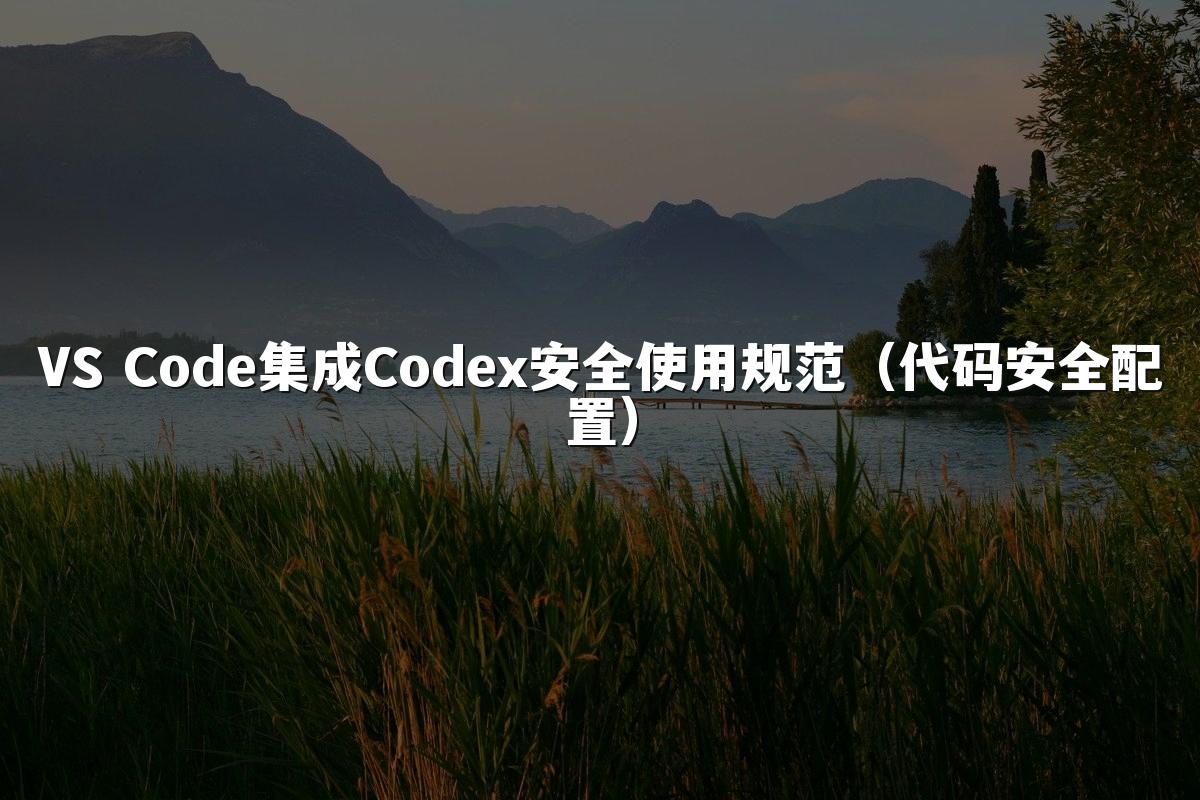 VS Code集成Codex安全使用规范(代码安全配置)