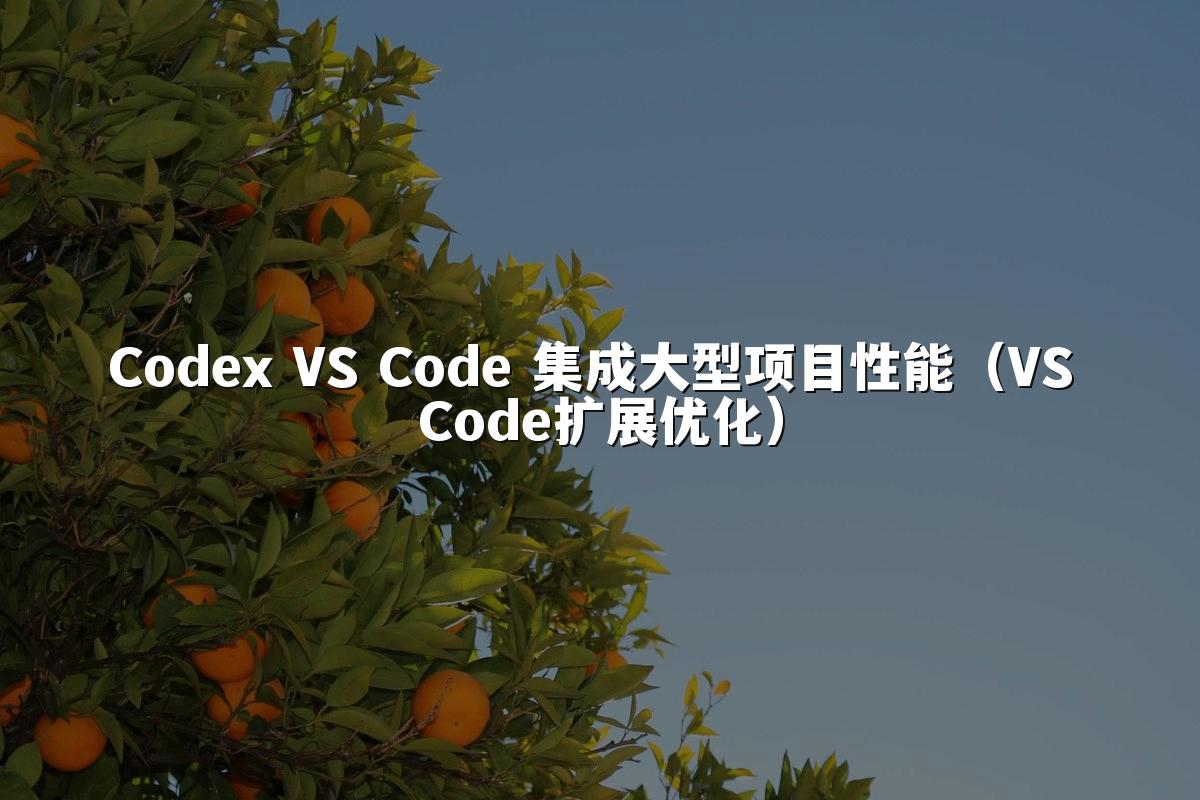 Codex VS Code 集成大型项目性能(VS Code扩展优化)