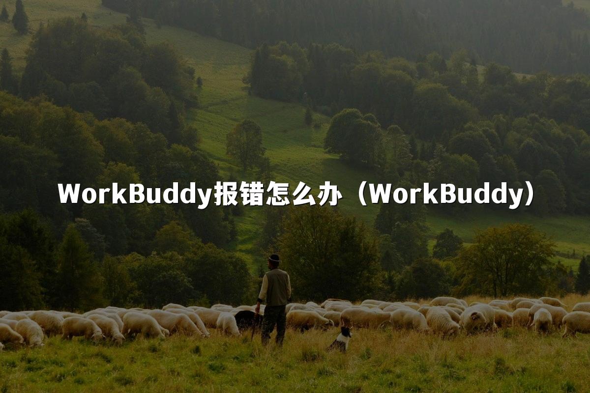 WorkBuddy报错怎么办（WorkBuddy）