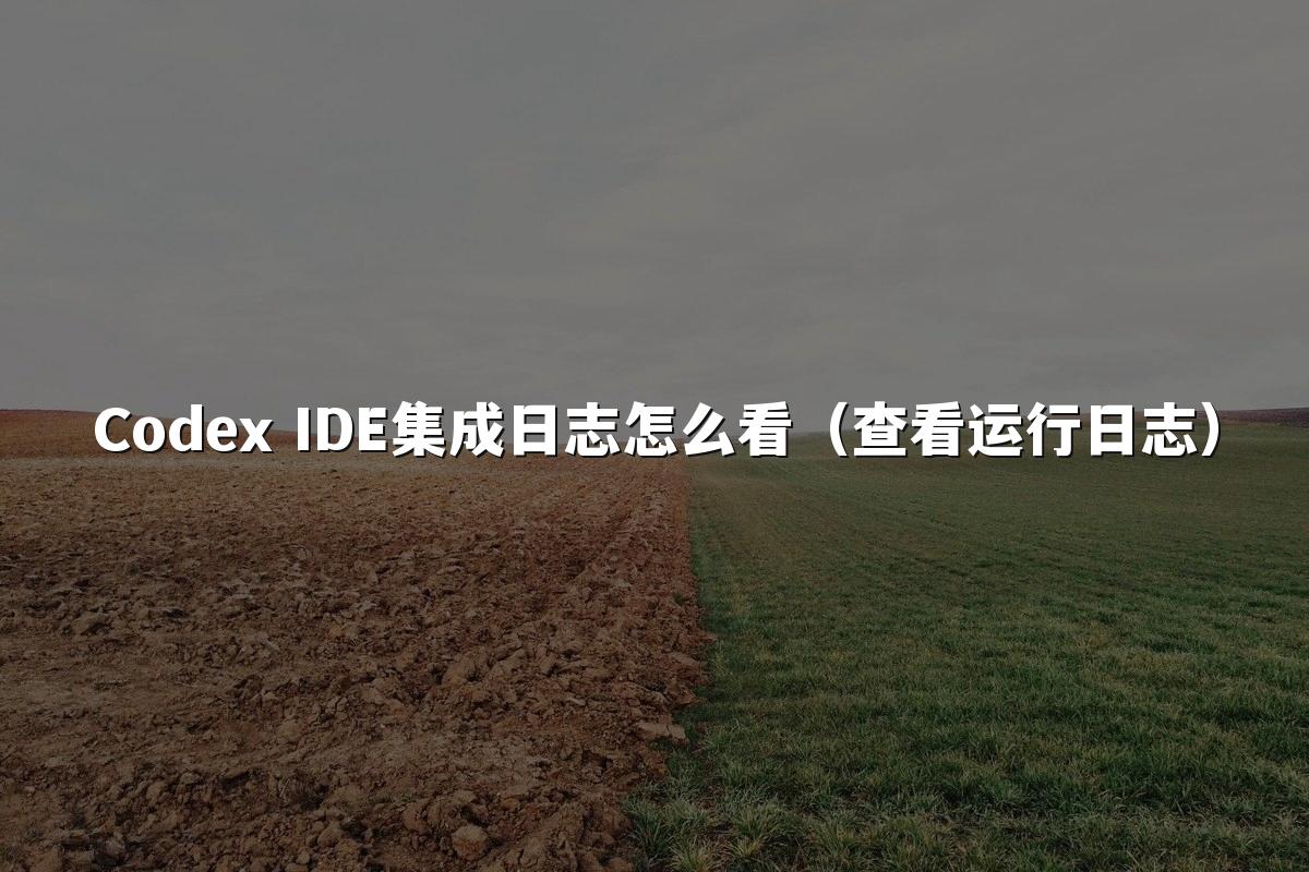 Codex IDE集成日志怎么看（查看运行日志）